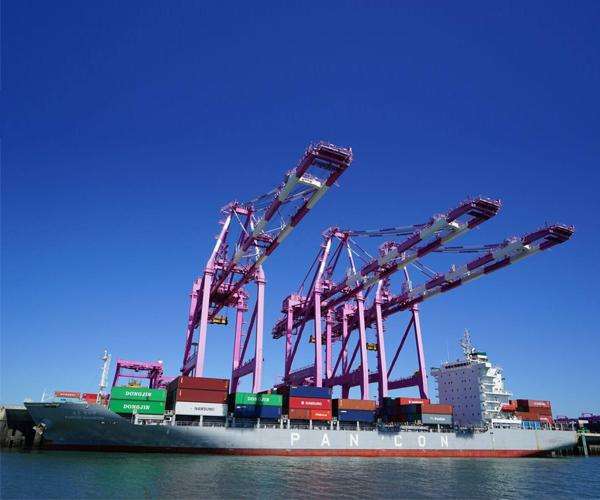 timg (15).jpg timg (15).jpg