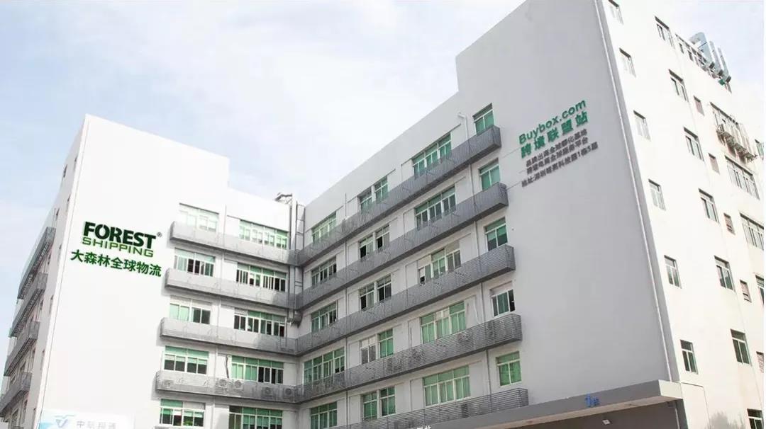 大森林总部 大森林总部