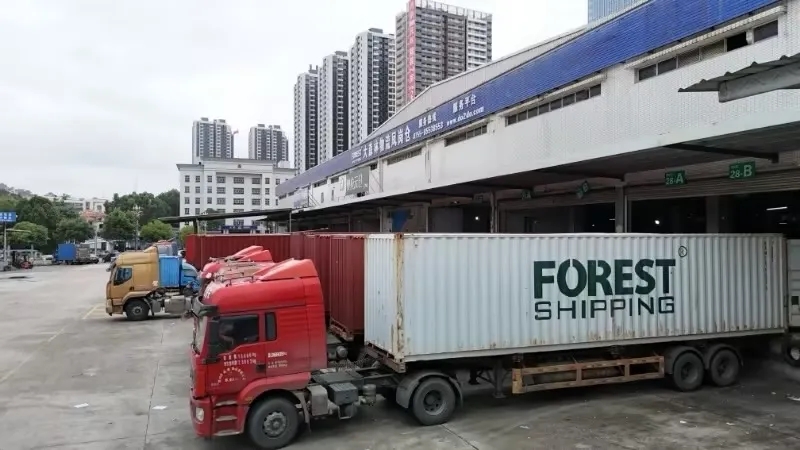 东莞大象仓 东莞大象仓