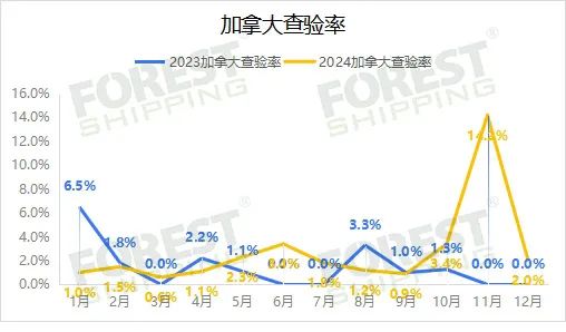 大森林2024年度报告 大森林2024年度报告